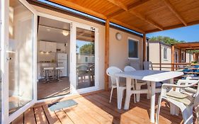 Mobile Homes Delta Marine At Campsite Rapoca